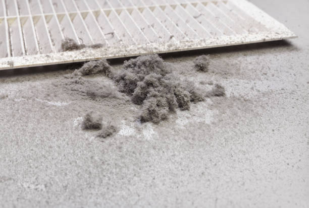 Best HVAC Maintenance and Cleaning  in Chisholm, ME