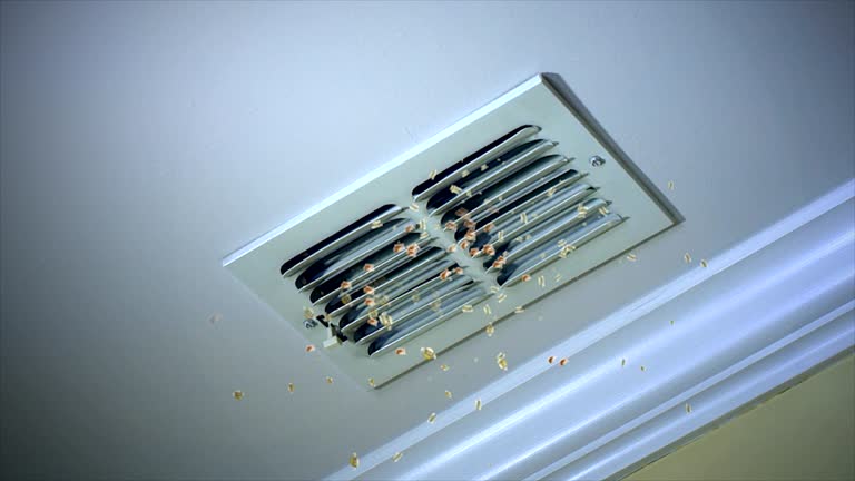 Best Air Duct Cleaning Company Near Me  in Chisholm, ME