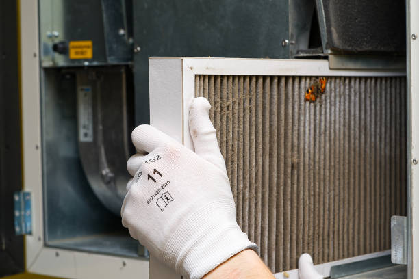 Best HVAC System Cleaning  in Chisholm, ME