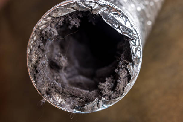 Best Duct Cleaning for Homes  in Chisholm, ME